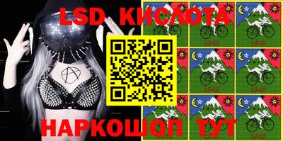 СК Владивосток