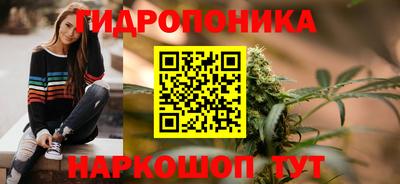 СК Владивосток