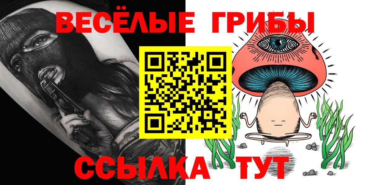 Псилоцибиновые грибы GOLDEN TEACHER Железноводск